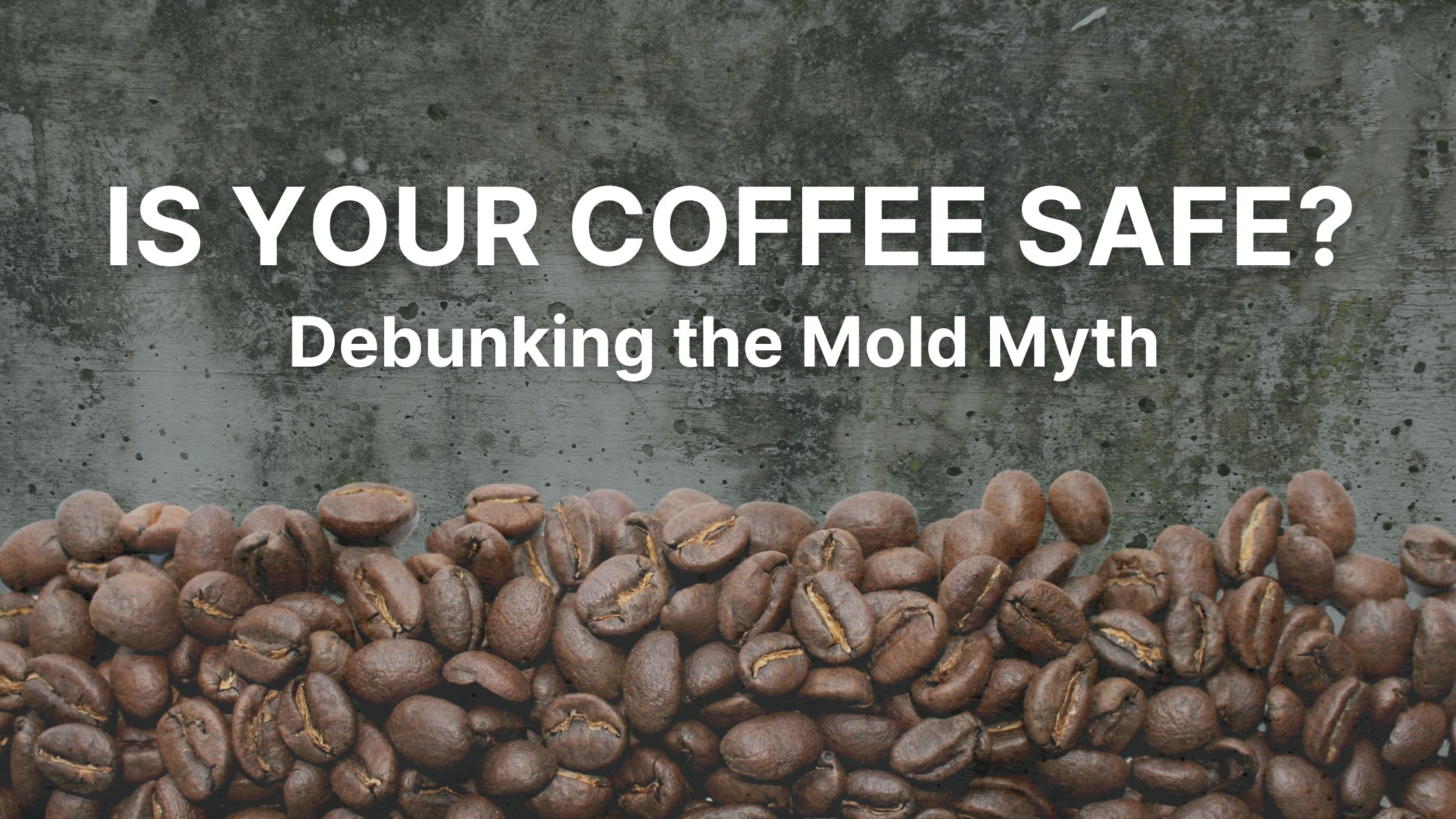 Moldy Coffee??